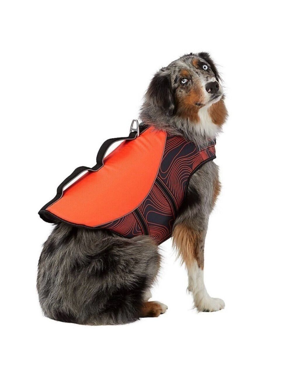 High-Visibility Orange Dog‎ Safety Vest